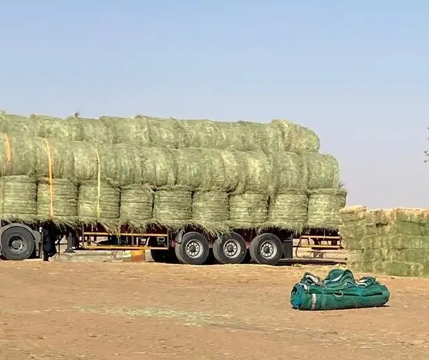 Farming Flatbed Truck – Agricultural Transport