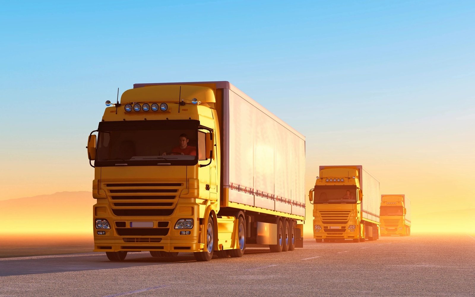 Container Transport Between Ports & Free Zones