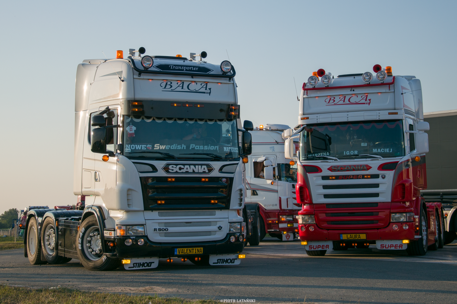 Transportation and Shipping Services Between Riyadh and Jeddah with United Arab Emirates